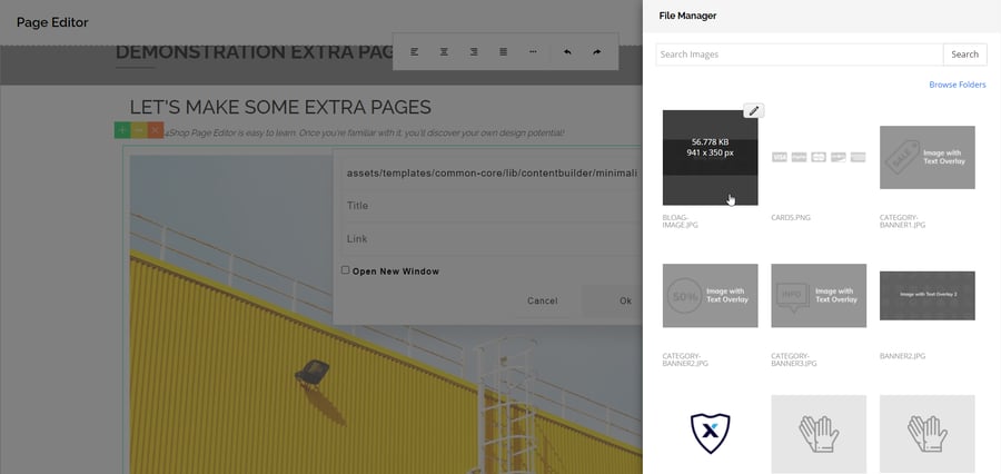 Using the Page Editor - File Manager